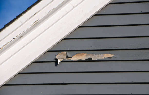 Shed Removal in Salina, UT